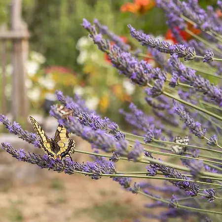 Dans Un Esprit Confort, Intimité Et Nature