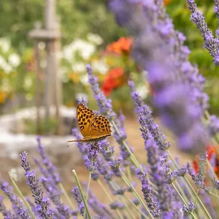 Hébergement de vacances Dans Un Esprit Confort, Intimité Et Nature *
